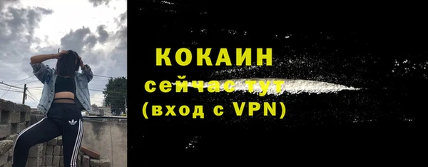 ГАЛЛЮЦИНОГЕННЫЕ ГРИБЫ Горно-Алтайск
