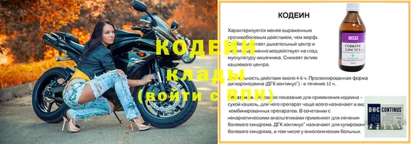 ГАЛЛЮЦИНОГЕННЫЕ ГРИБЫ Горно-Алтайск
