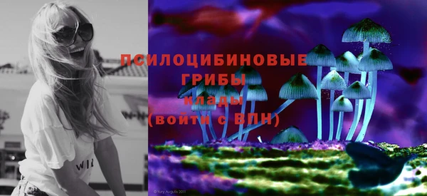 бошки Горнозаводск
